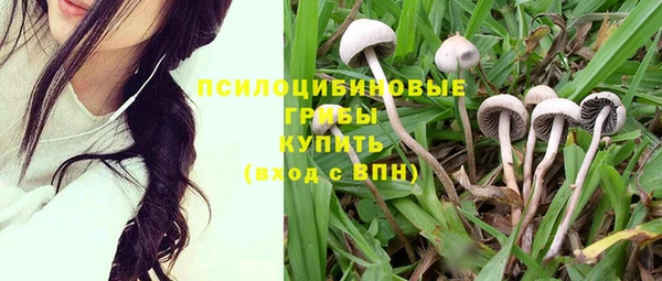 скорость Арсеньев