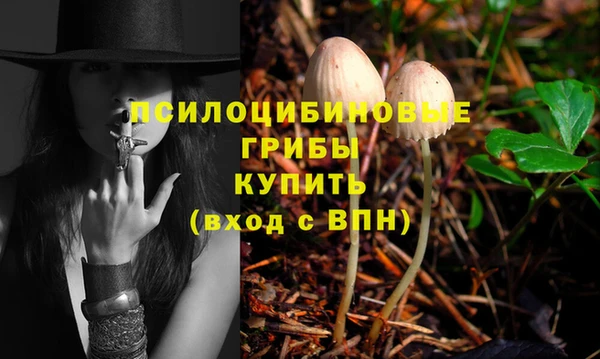 винт Армянск
