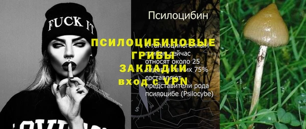 винт Армянск