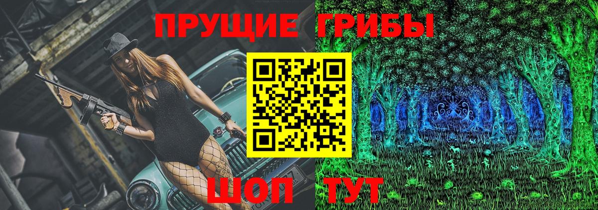 Крымск  Галлюциногенные грибы Cubensis  Вход с VPN 